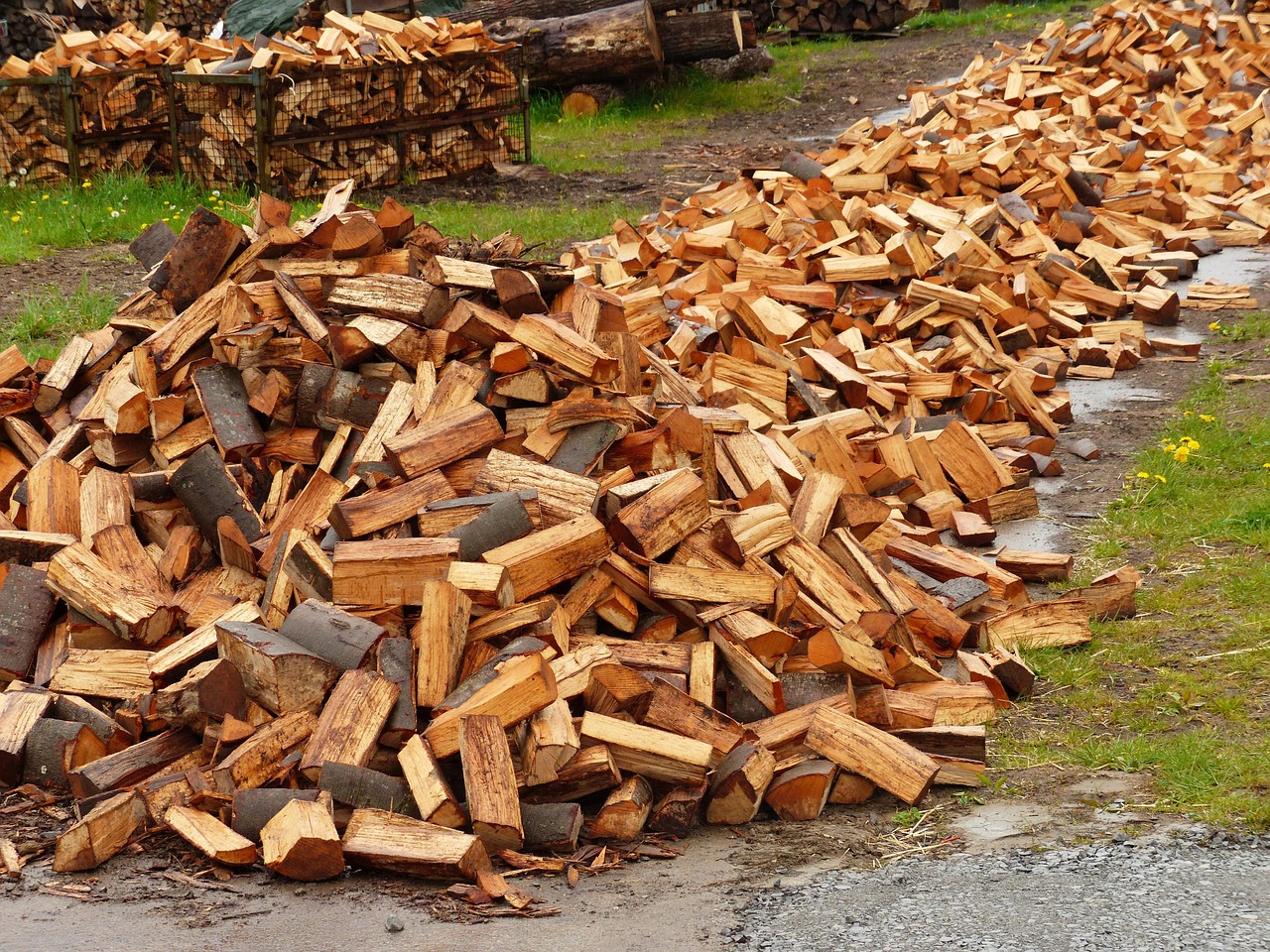 Brennholz lagern: die 7 häufigsten Fehler beim Holzlager