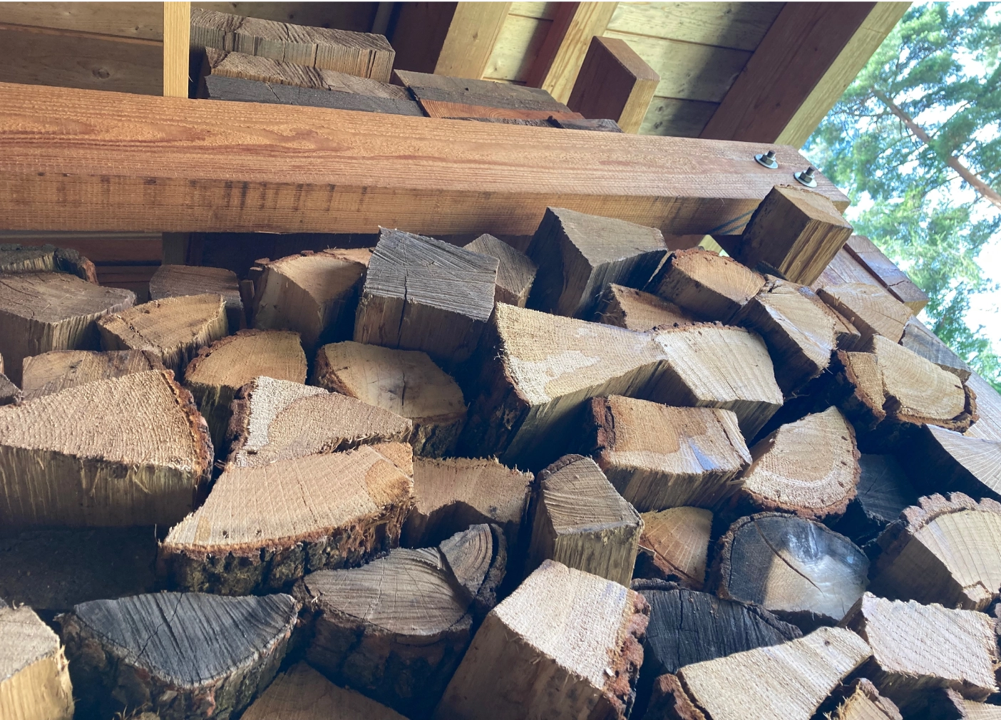 Brennholz luftgetrocknet oder kammergetrocknet