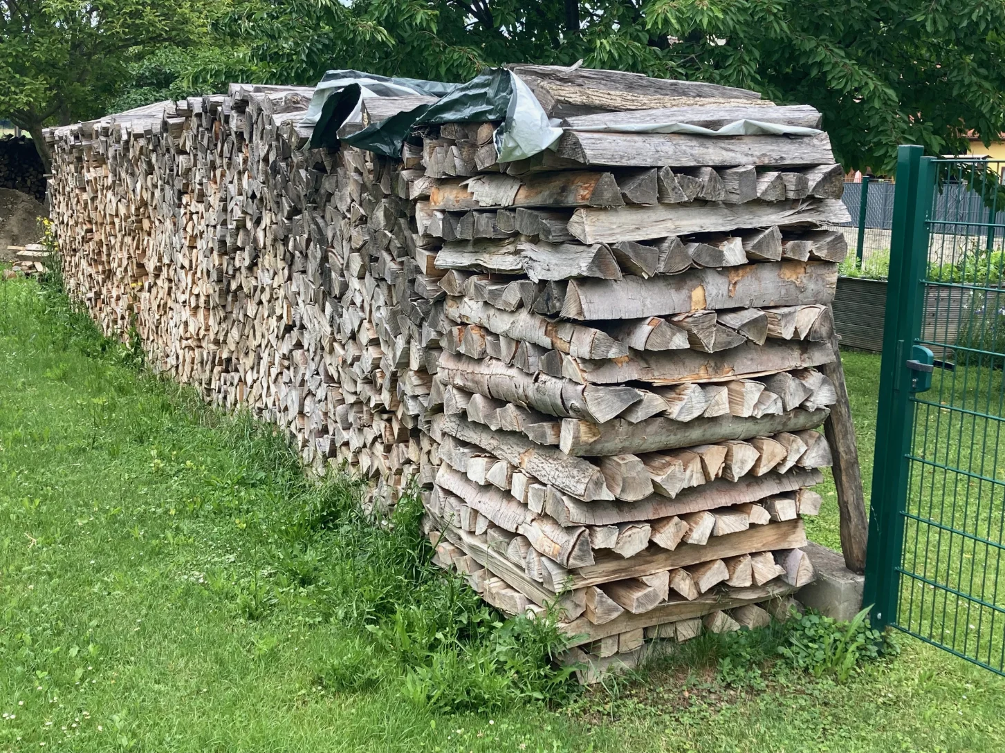 Brennholzangebote vergleichen: worauf du beim Kauf wirklich achten solltest